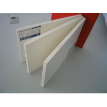 PVC Foam Sheet in The Plastic Panel